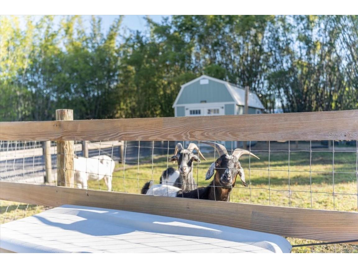 5460 Boutin Lane Saint Cloud FL 34772 O6361887 image40