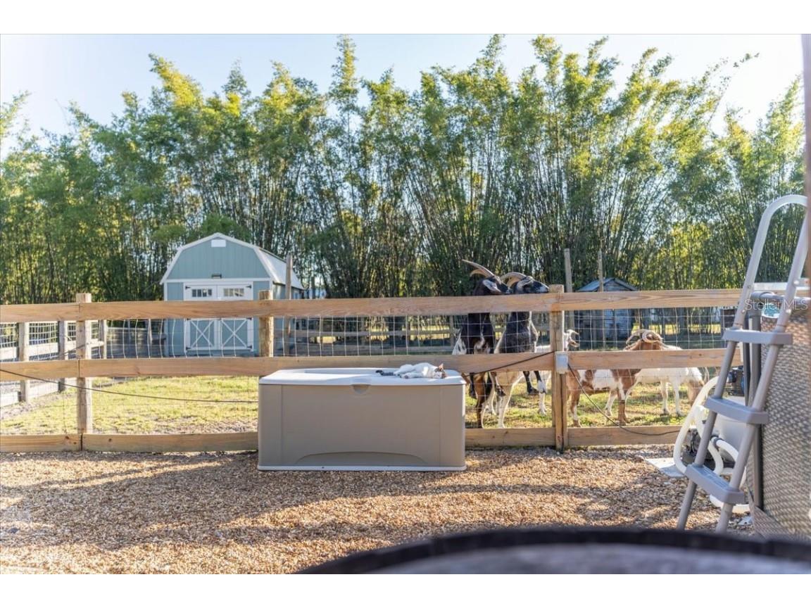 5460 Boutin Lane Saint Cloud FL 34772 O6361887 image46