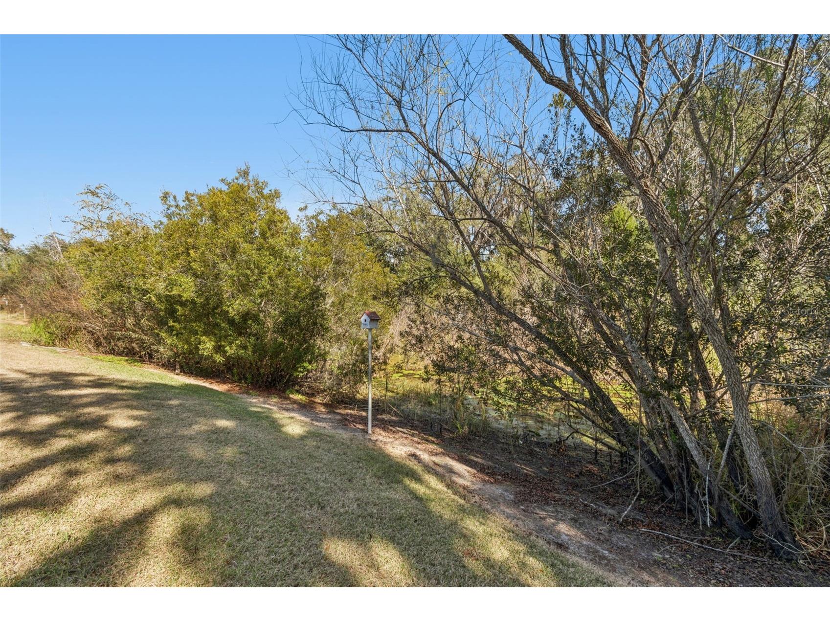 5460 Chestnut Ridge Road Dade City FL 33523 TB8467390 image52