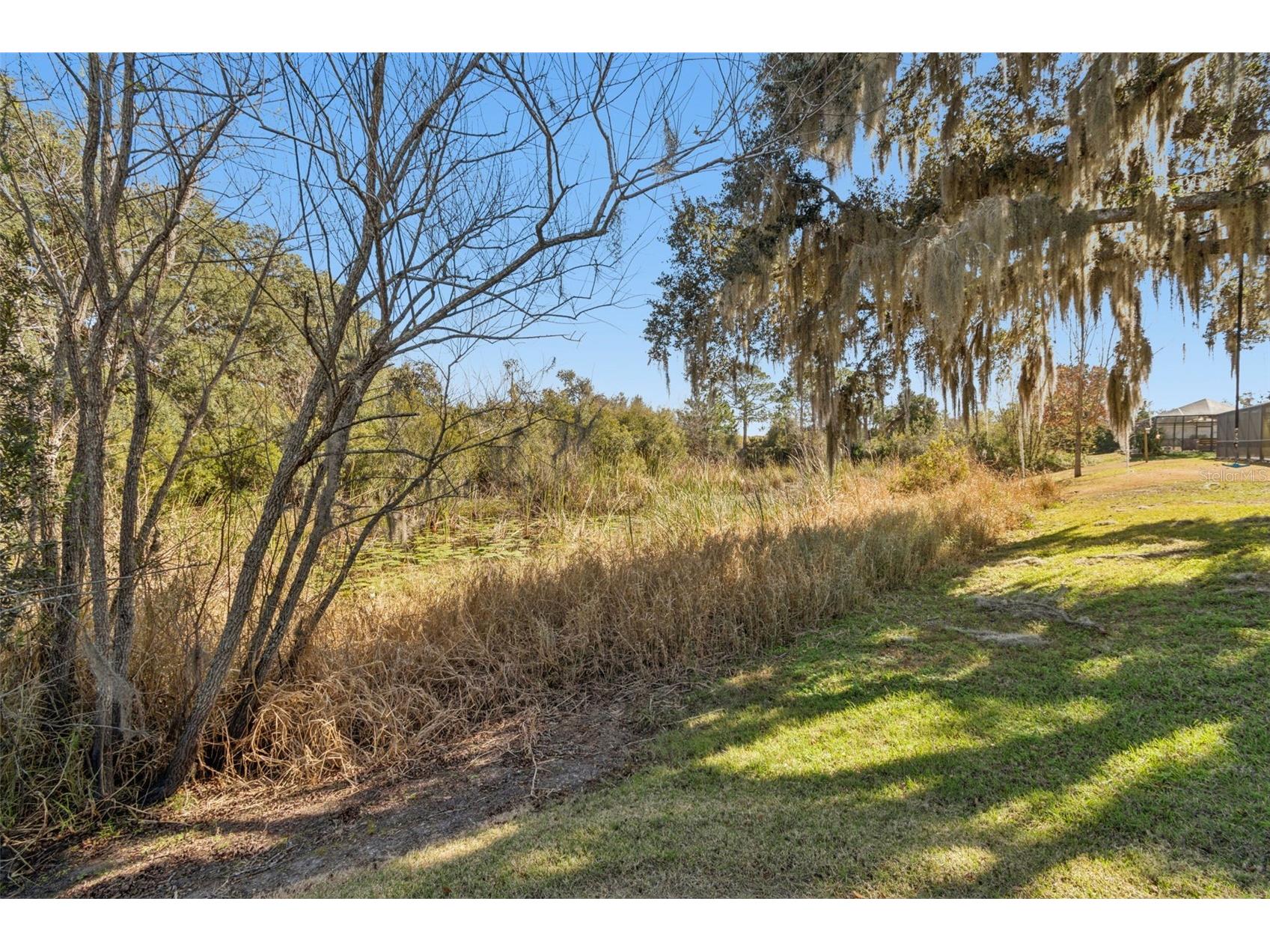 5460 Chestnut Ridge Road Dade City FL 33523 TB8467390 image53