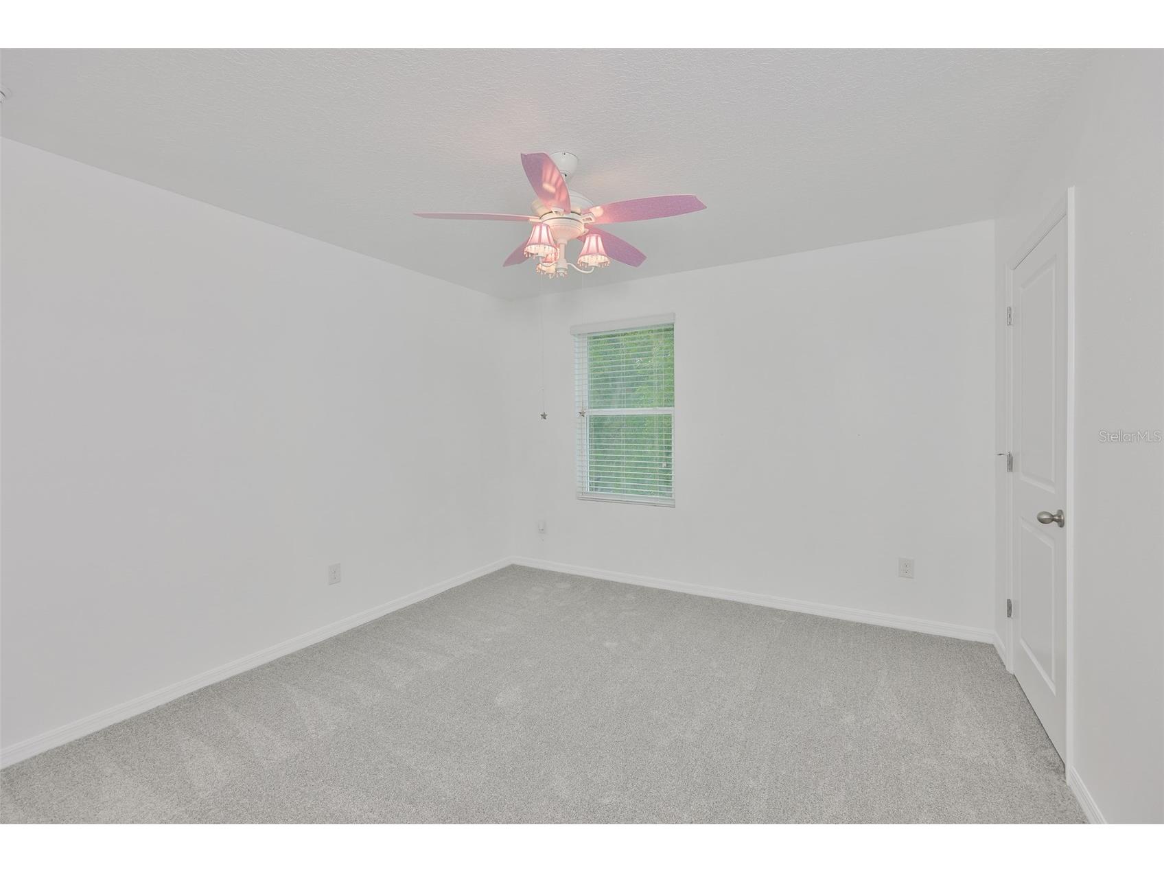 5461 Magdalene Way Zephyrhills FL 33541 TB8490515 image37