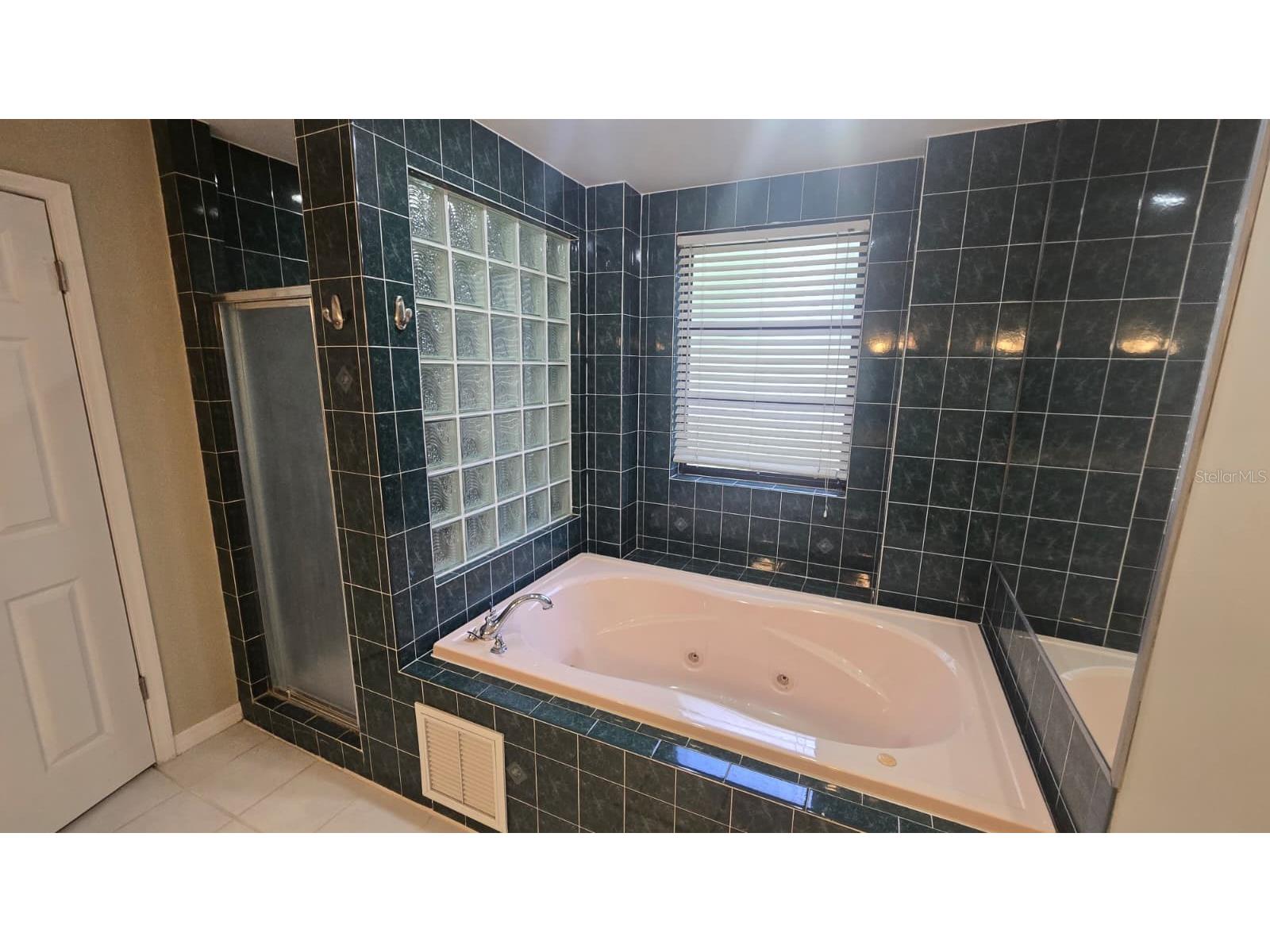 5461 Oakridge Drive Palm Harbor FL 34685 TB8526582 image6