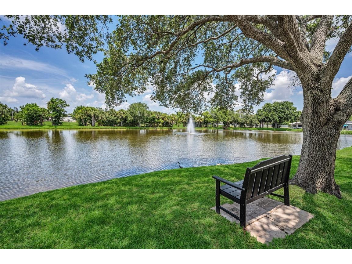 5461 Palm Crest Court N #5461 Pinellas Park FL 33782 TB8412768 image42