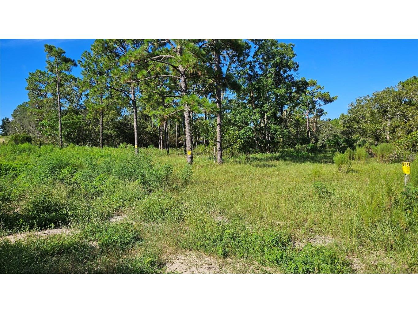 5462 S Clara Point Homosassa FL 34446 OM707426 image1