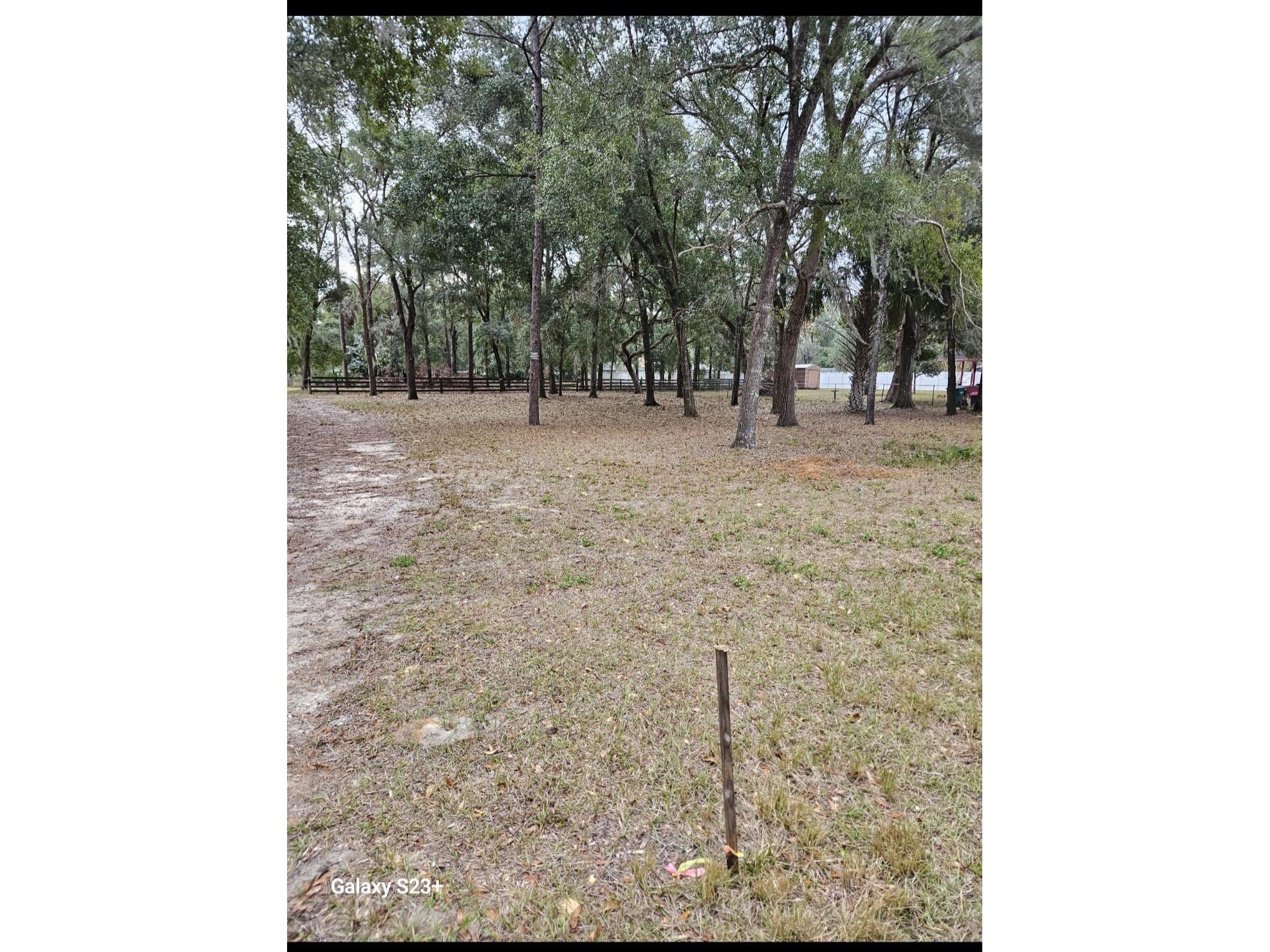 5463 E Tangelo Lane Inverness FL 34453 S5151157 image3