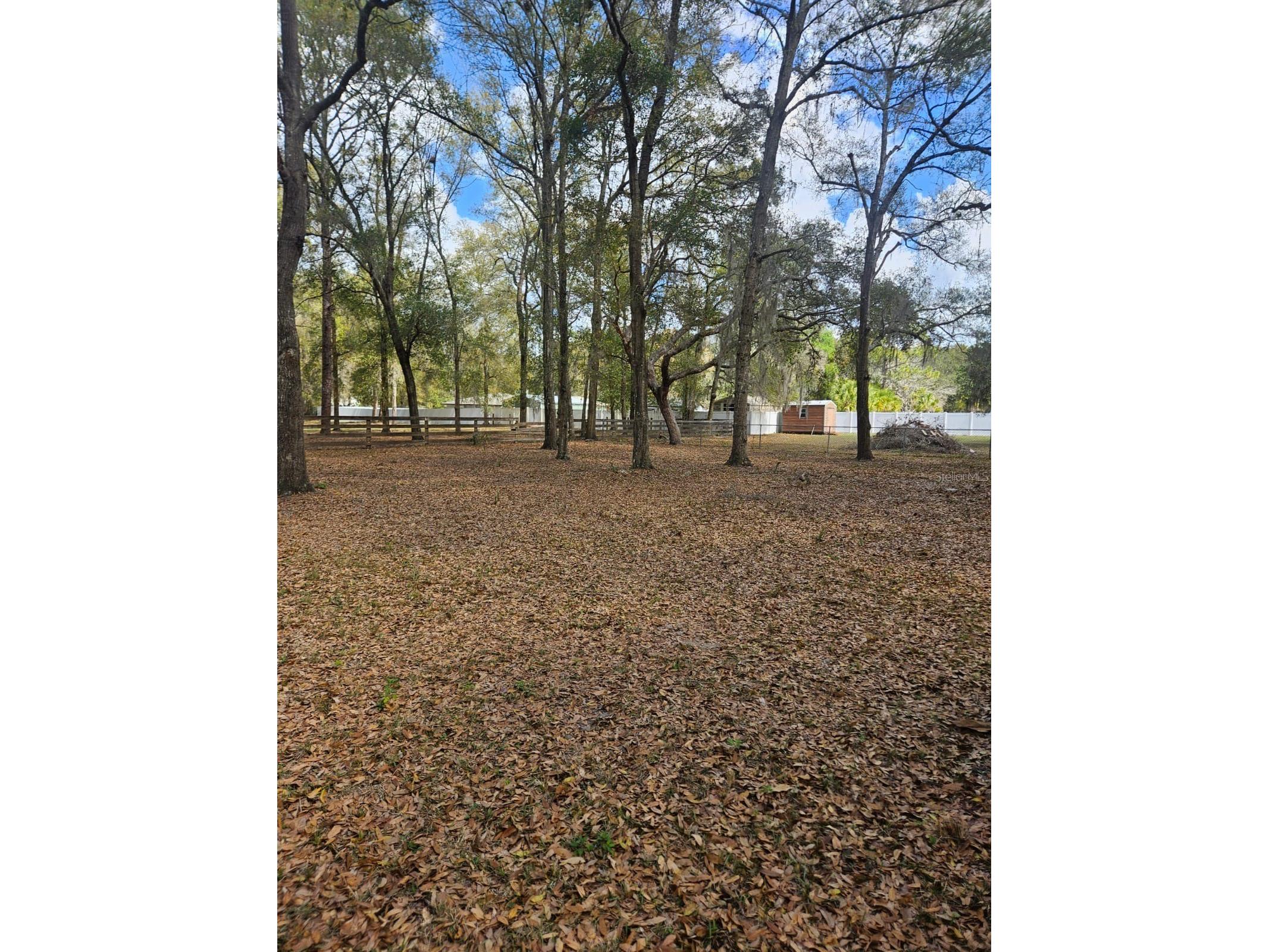 5463 E Tangelo Lane Inverness FL 34453 S5151157 image4
