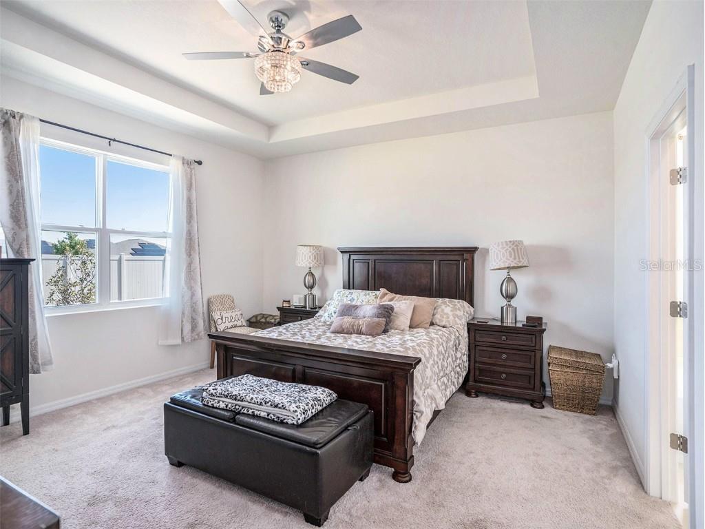 5464 Flint Hills Drive Wimauma FL 33598 TB8379867 image10