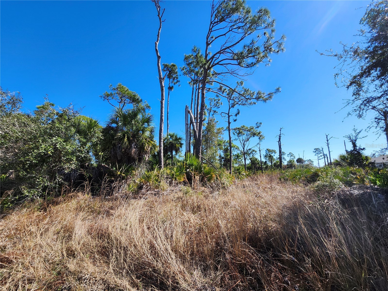 5464 Jennings Boulevard Port Charlotte FL 33981 C7522421 image4