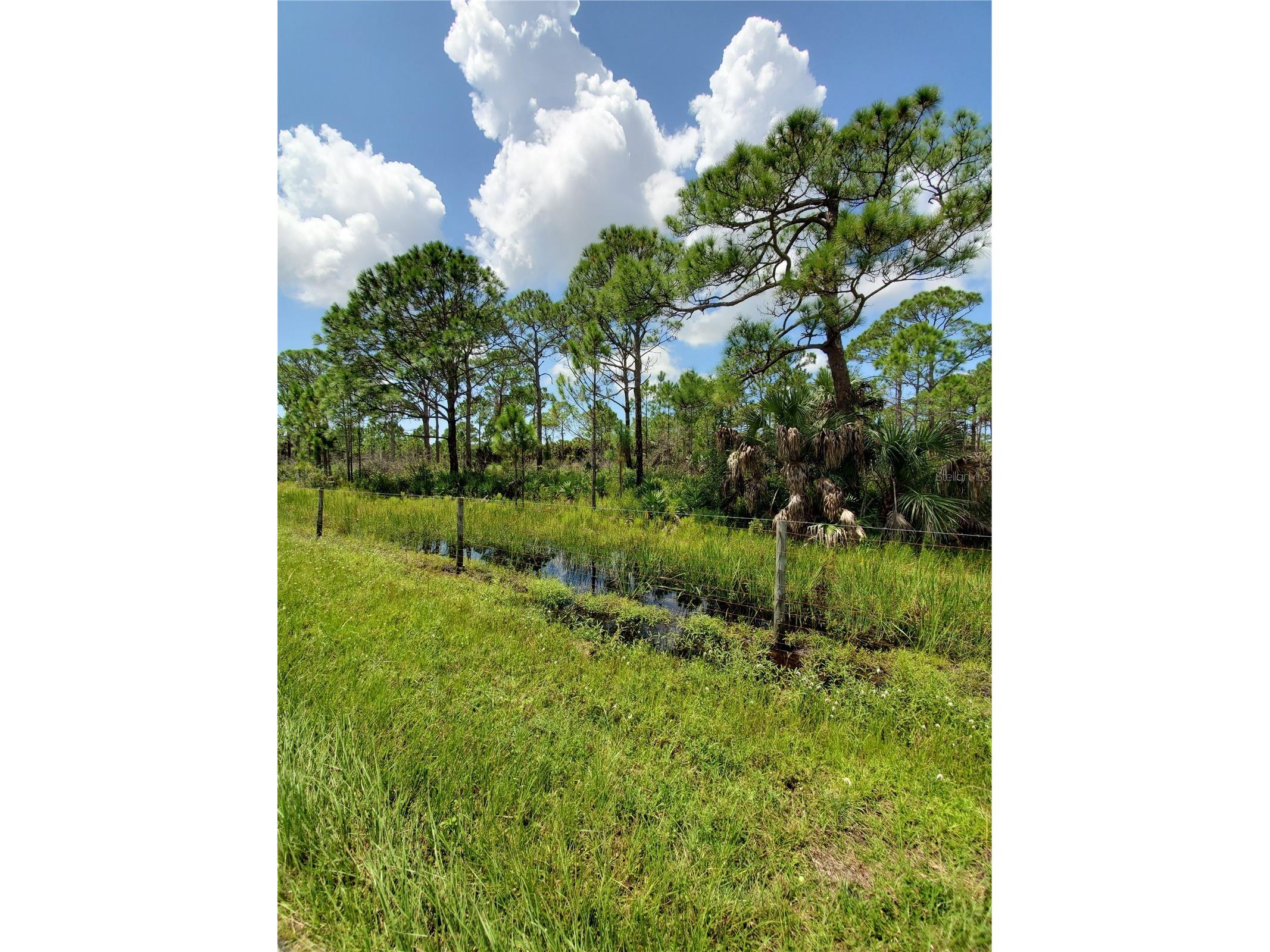5464 Jennings Boulevard Port Charlotte FL 33981 C7522421 image6