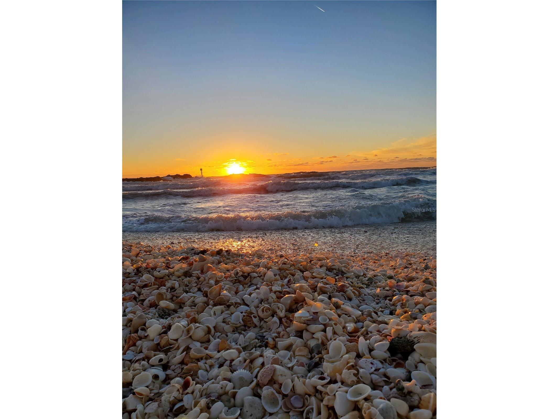 5464 Jennings Boulevard Port Charlotte FL 33981 C7522421 image8