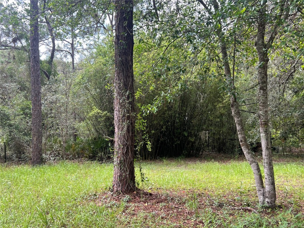 5464 S Wilson Point #2 Homosassa FL 34446 OM700389 image18