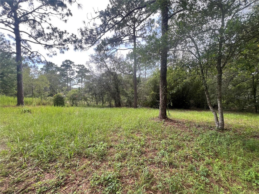 5464 S Wilson Point #2 Homosassa FL 34446 OM700389 image19