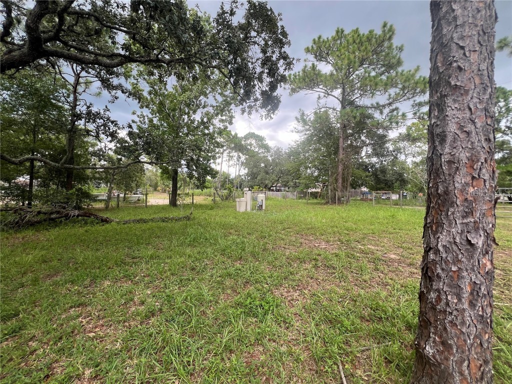 5464 S Wilson Point #2 Homosassa FL 34446 OM700389 image20