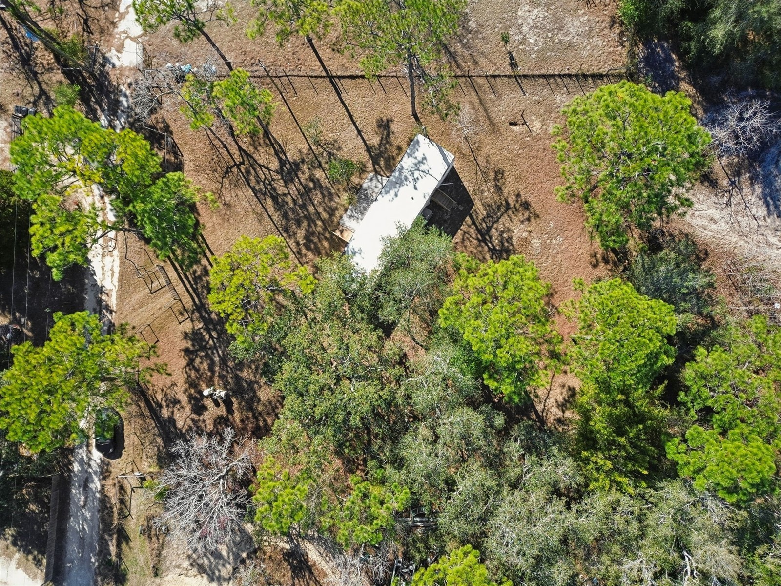 5464 S Wilson Point Homosassa FL 34446 TB8467023 image39