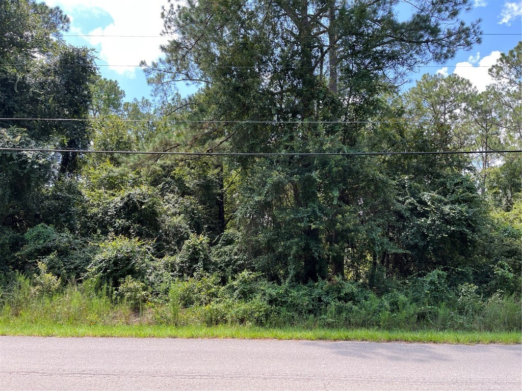 5465 Laredo Street Keystone Heights FL 32656 GC515500 image1