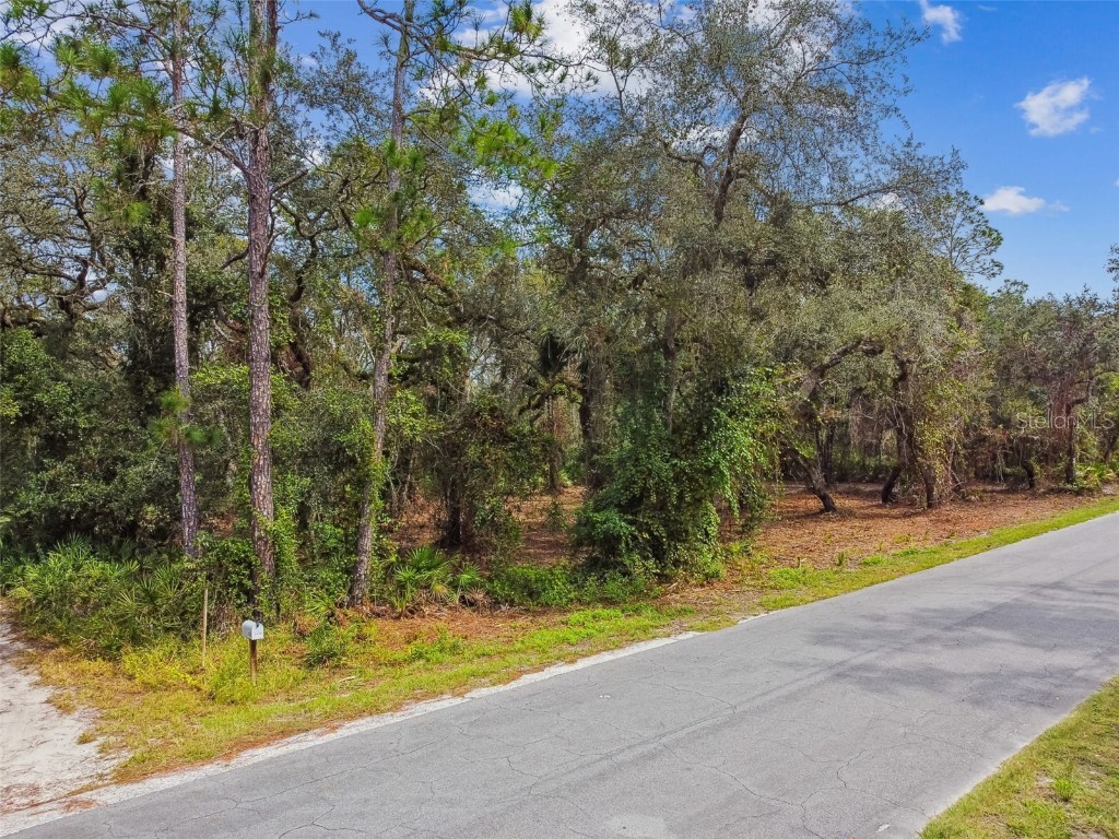 5466 AND 5476 Cyril Drive Dade City FL 33523 - WITHLACOOCHEE TB8435988 image1