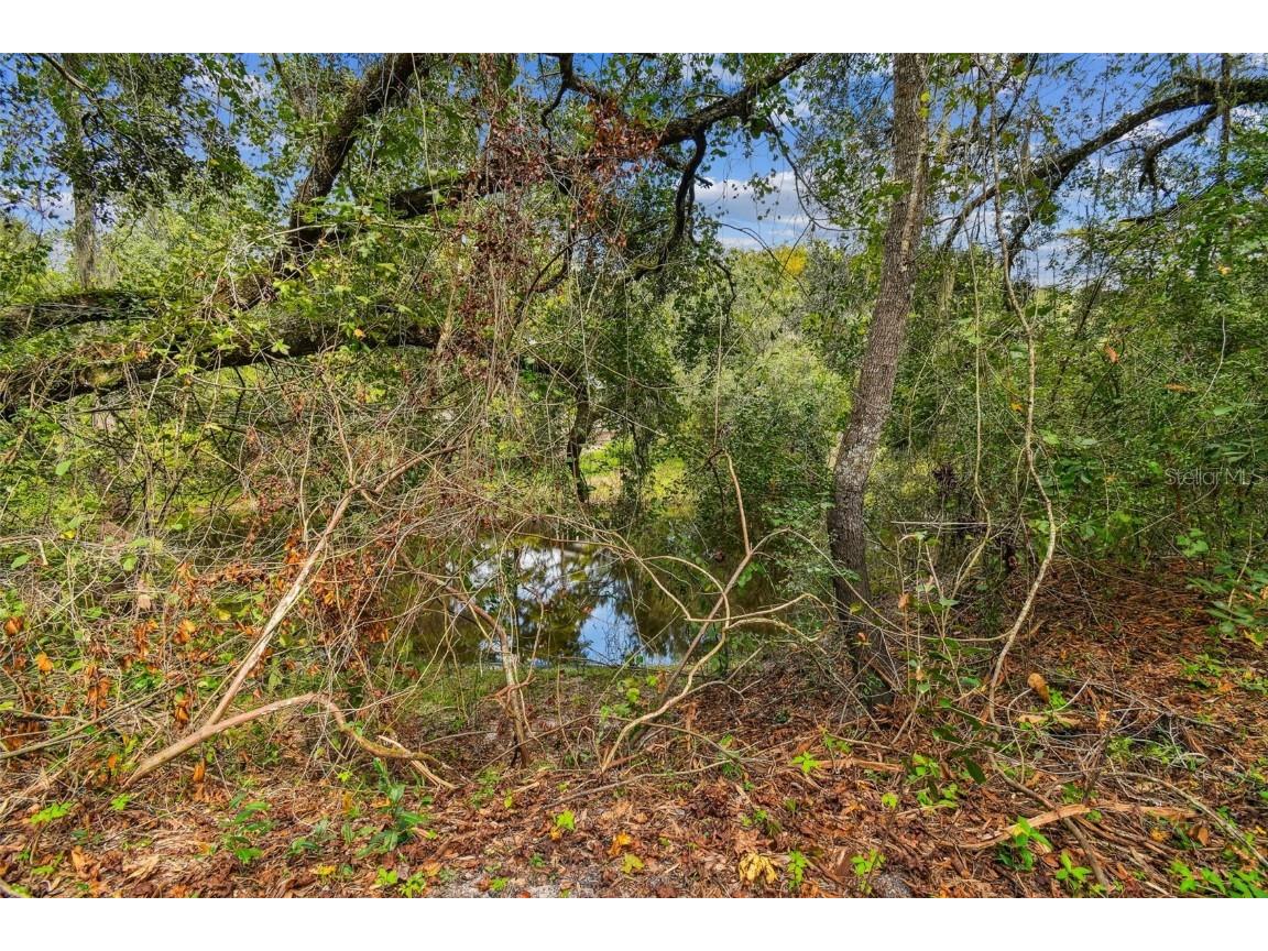 5466 AND 5476 Cyril Drive Dade City FL 33523 - WITHLACOOCHEE TB8435988 image10