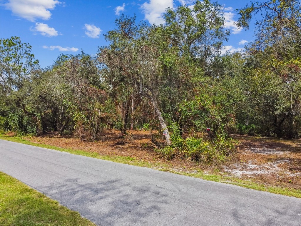 5466 AND 5476 Cyril Drive Dade City FL 33523 - WITHLACOOCHEE TB8435988 image14