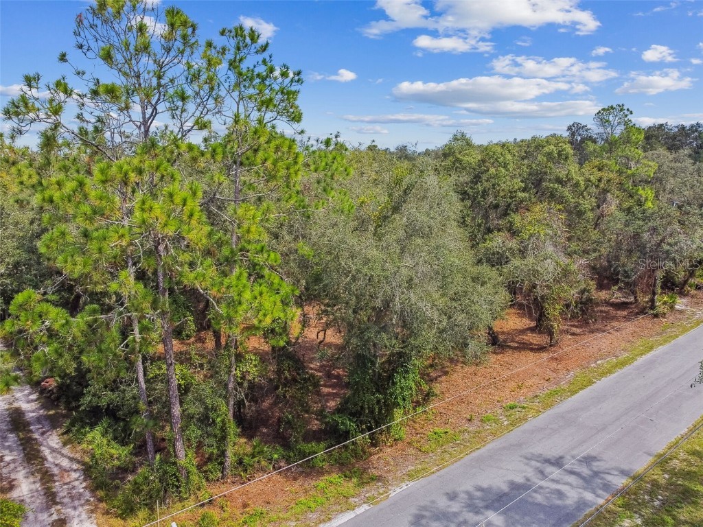 5466 AND 5476 Cyril Drive Dade City FL 33523 - WITHLACOOCHEE TB8435988 image15