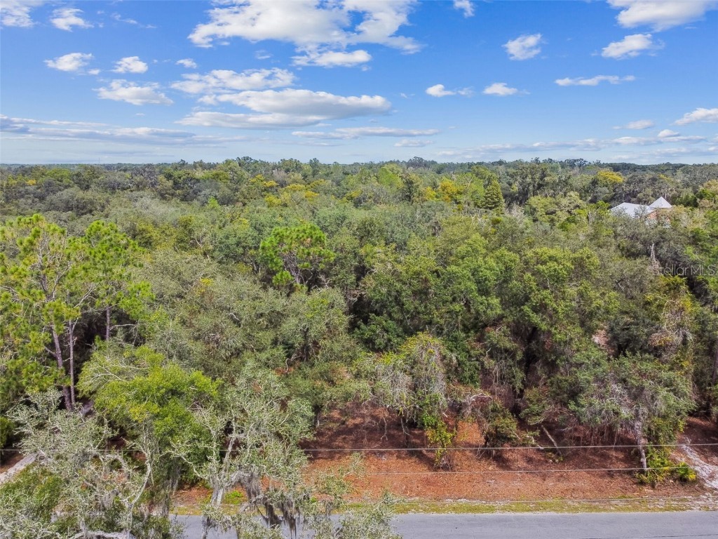 5466 AND 5476 Cyril Drive Dade City FL 33523 - WITHLACOOCHEE TB8435988 image16