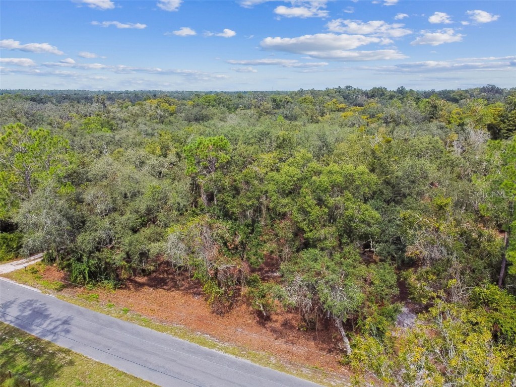 5466 AND 5476 Cyril Drive Dade City FL 33523 - WITHLACOOCHEE TB8435988 image17