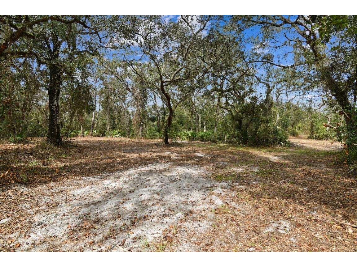 5466 AND 5476 Cyril Drive Dade City FL 33523 - WITHLACOOCHEE TB8435988 image4