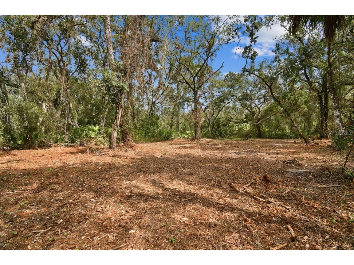 5466 AND 5476 Cyril Drive Dade City FL 33523 - WITHLACOOCHEE TB8435988 image6