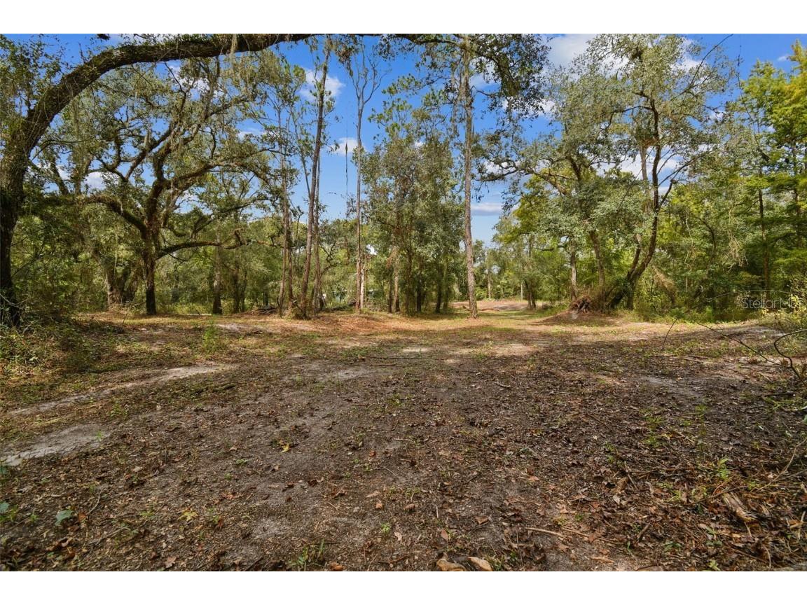 5466 AND 5476 Cyril Drive Dade City FL 33523 - WITHLACOOCHEE TB8435988 image8