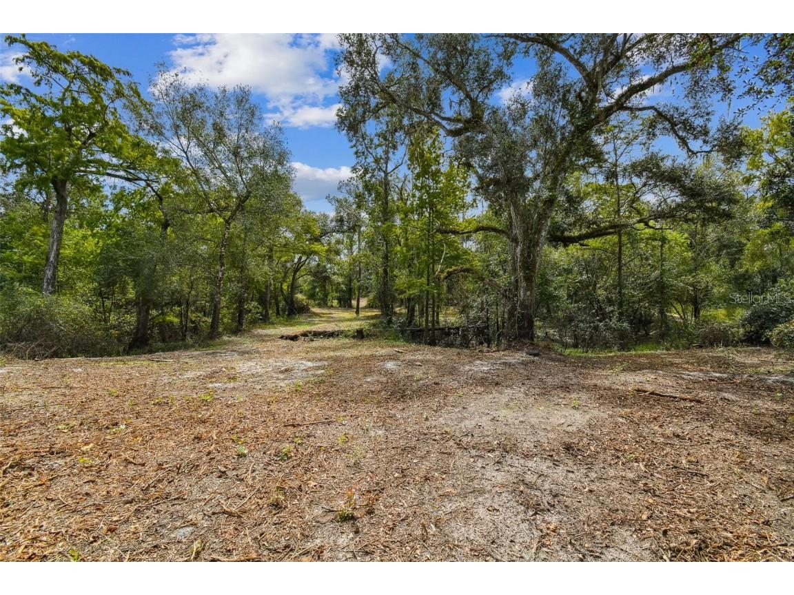 5466 AND 5476 Cyril Drive Dade City FL 33523 - WITHLACOOCHEE TB8435988 image9