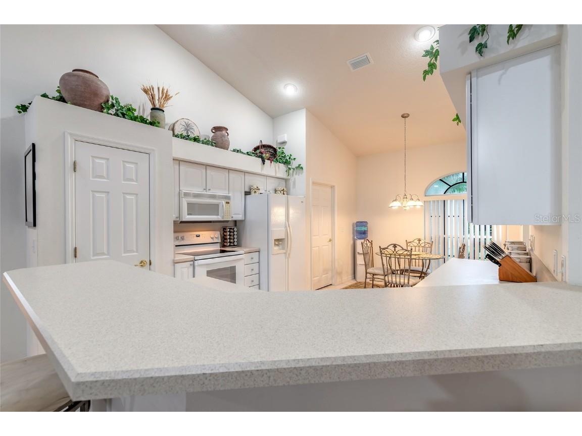 5466 Ward Lake Drive Port Orange FL 32128 NS1086292 image23