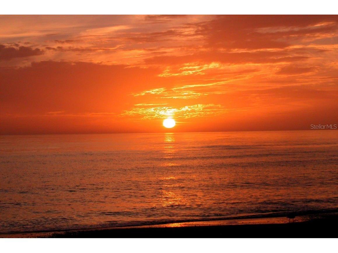 5468 Wilkinson Road Sarasota FL 34233 A4673297 image72