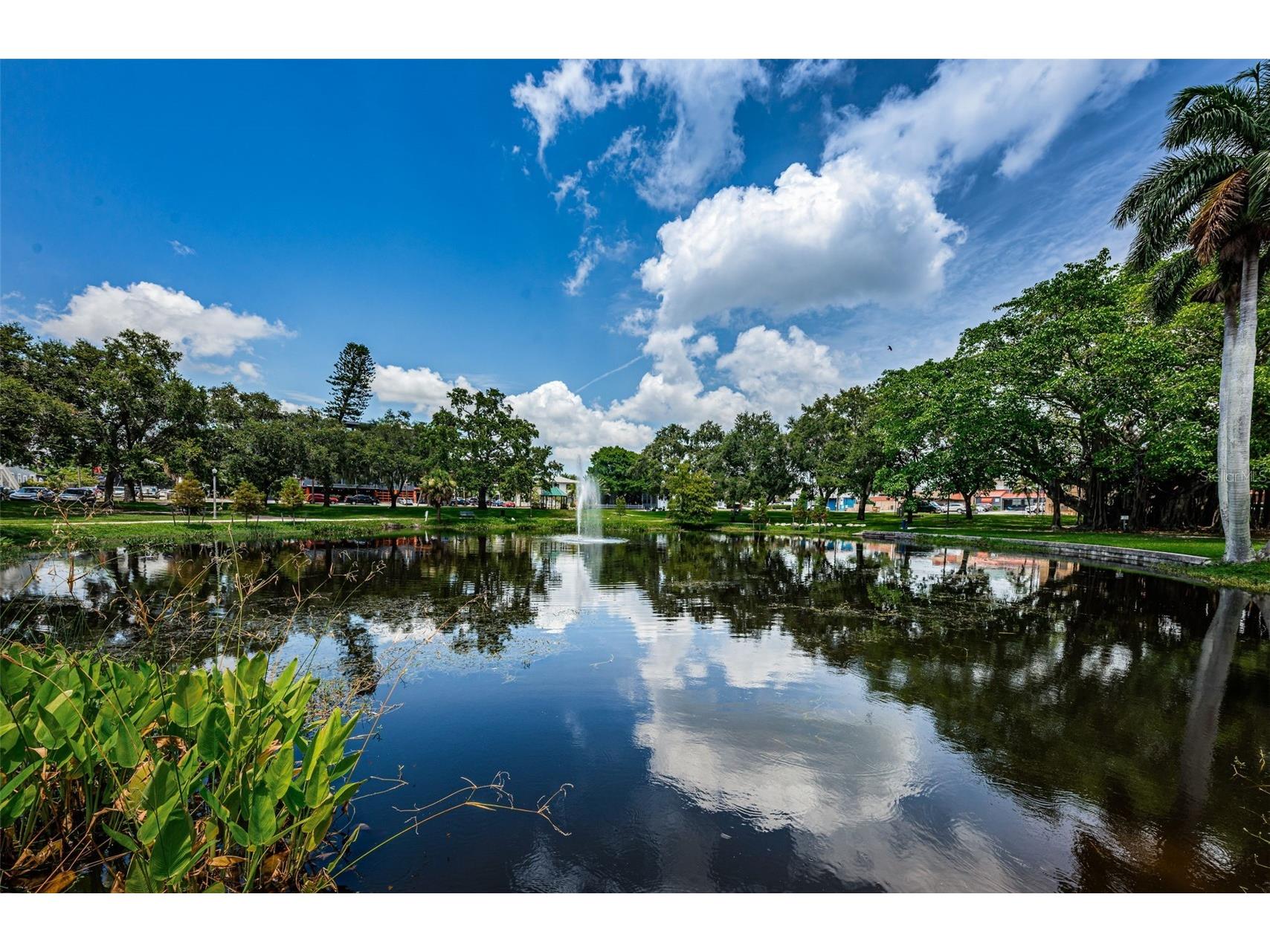 547 15th Street N Saint Petersburg FL 33705 TB8509227 image42