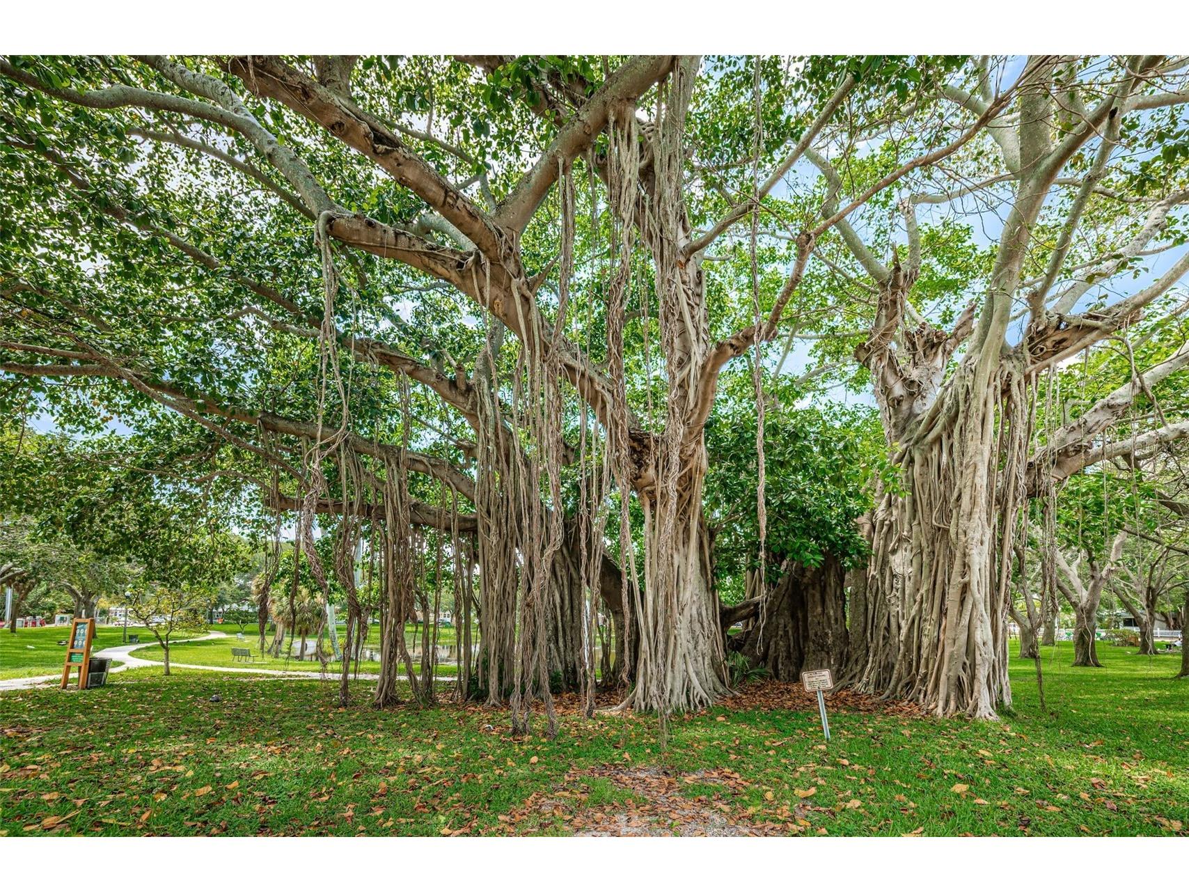 547 15th Street N Saint Petersburg FL 33705 TB8509227 image44