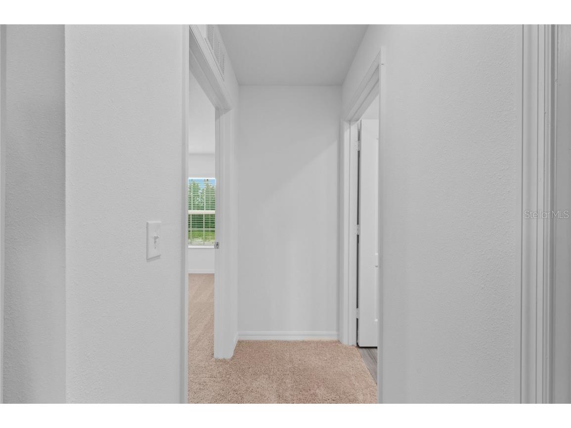 547 Bay Leaf Drive Poinciana FL 34759 TB8436023 image22