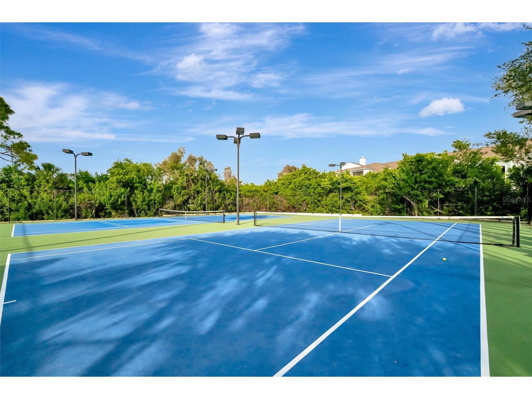 547 Black Lion Drive NE Saint Petersburg FL 33716 TB8518905 image59