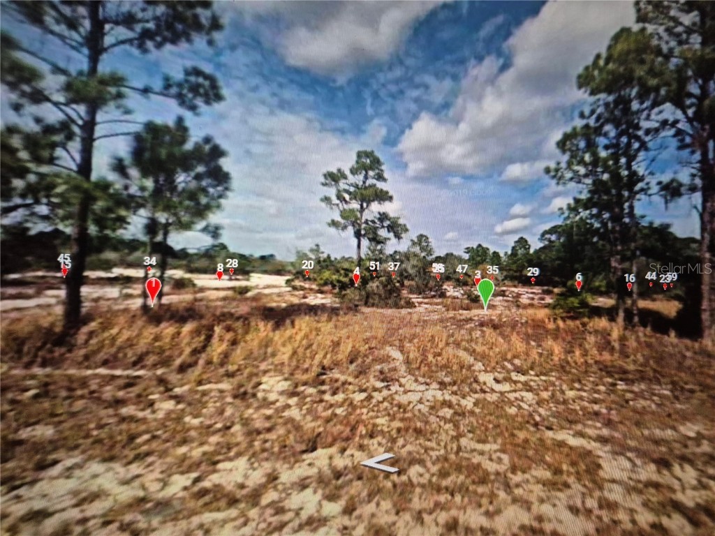 547 Branchwood Avenue Lake Placid FL 33852 O6258557 image1