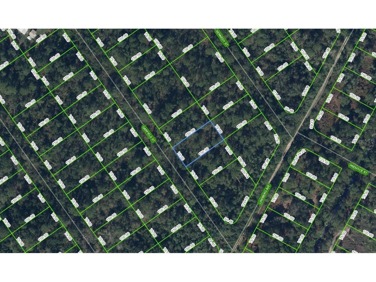 547 Garfield Avenue NE Lake Placid FL 33852 C7484046 image1