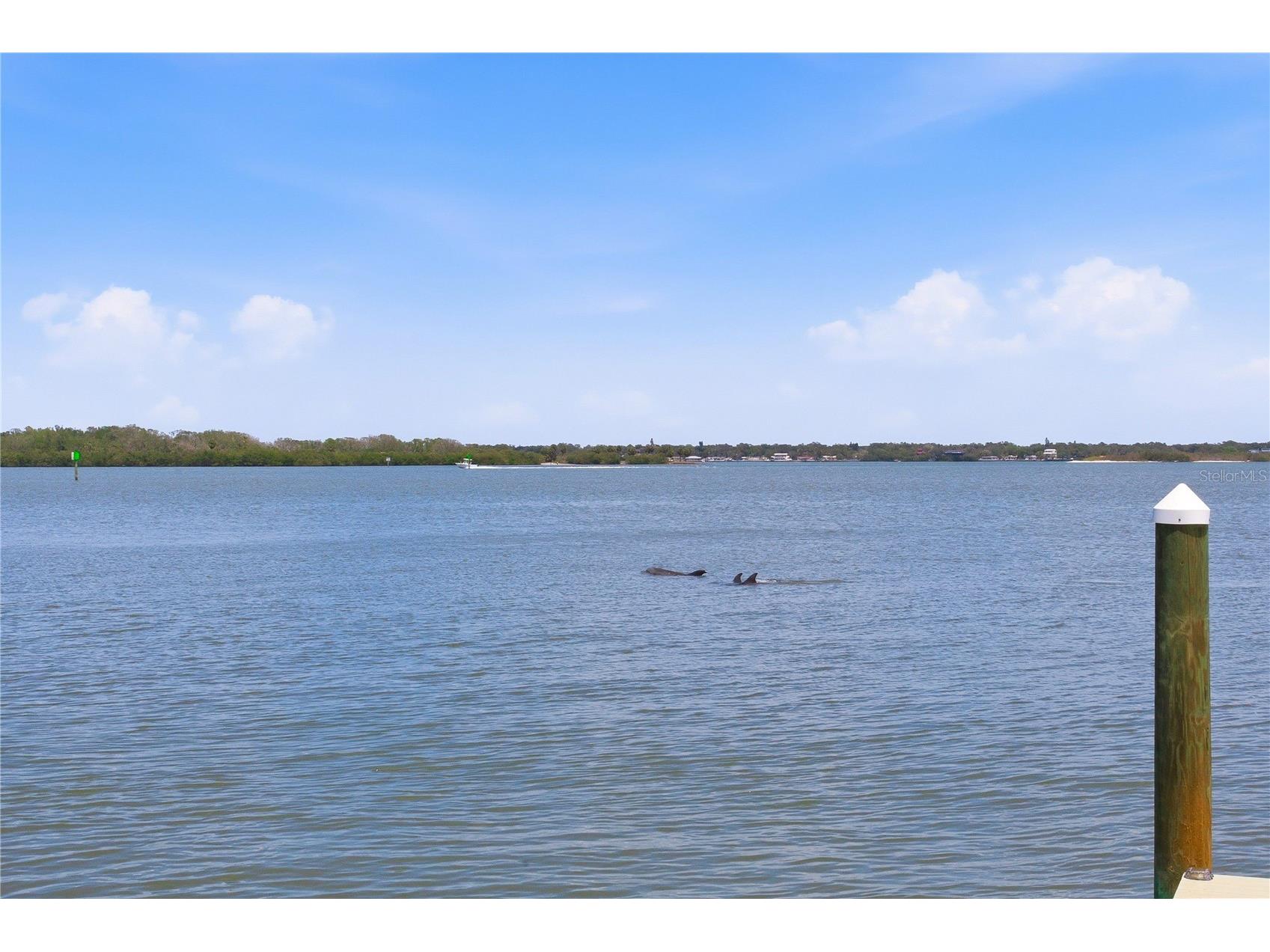 547 Johns Pass Avenue Madeira Beach FL 33708 - BOCA CIEGA TB8510503 image70