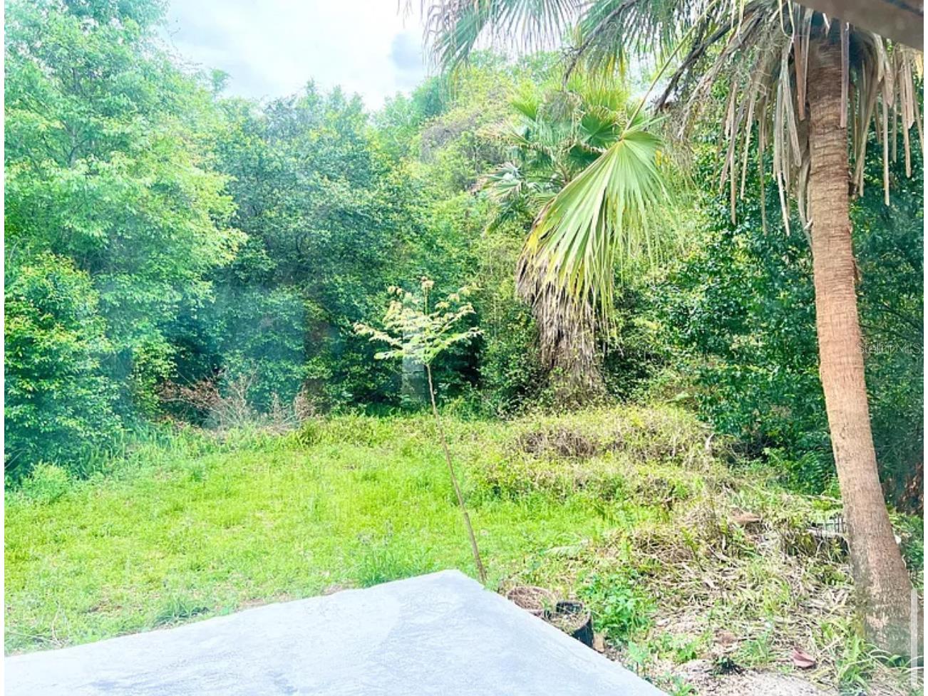 547 Lino Court Deltona FL 32725 O6392893 image15