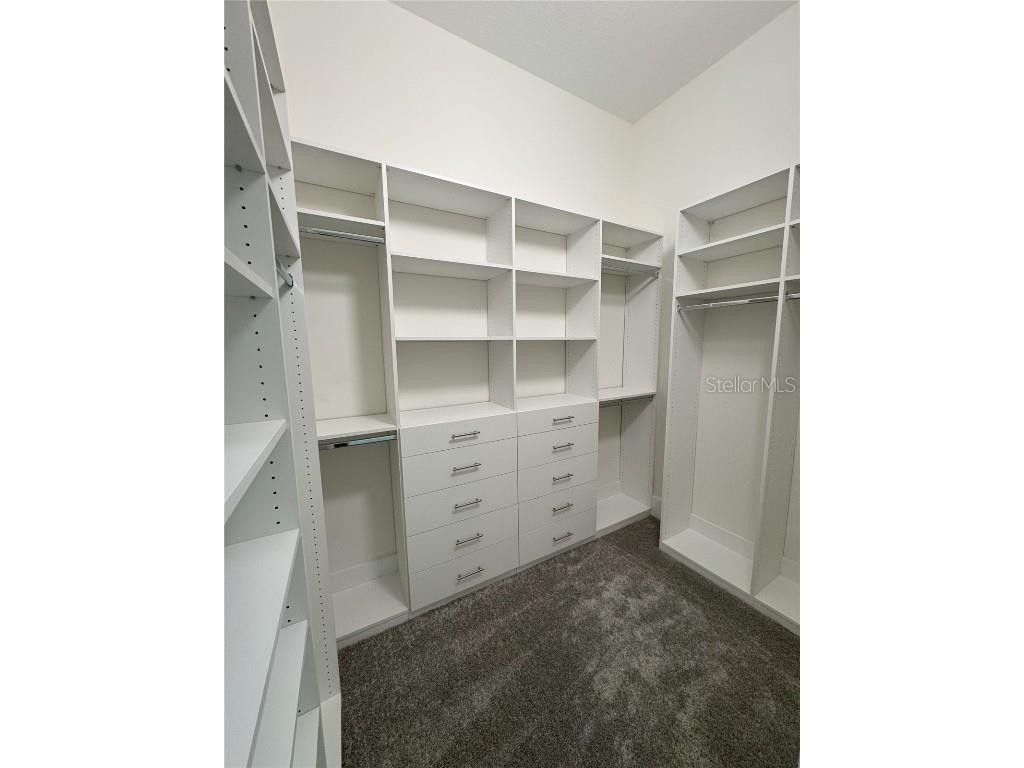 547 Sanctuary Golf Place Apopka FL 32712 O6261459 image17