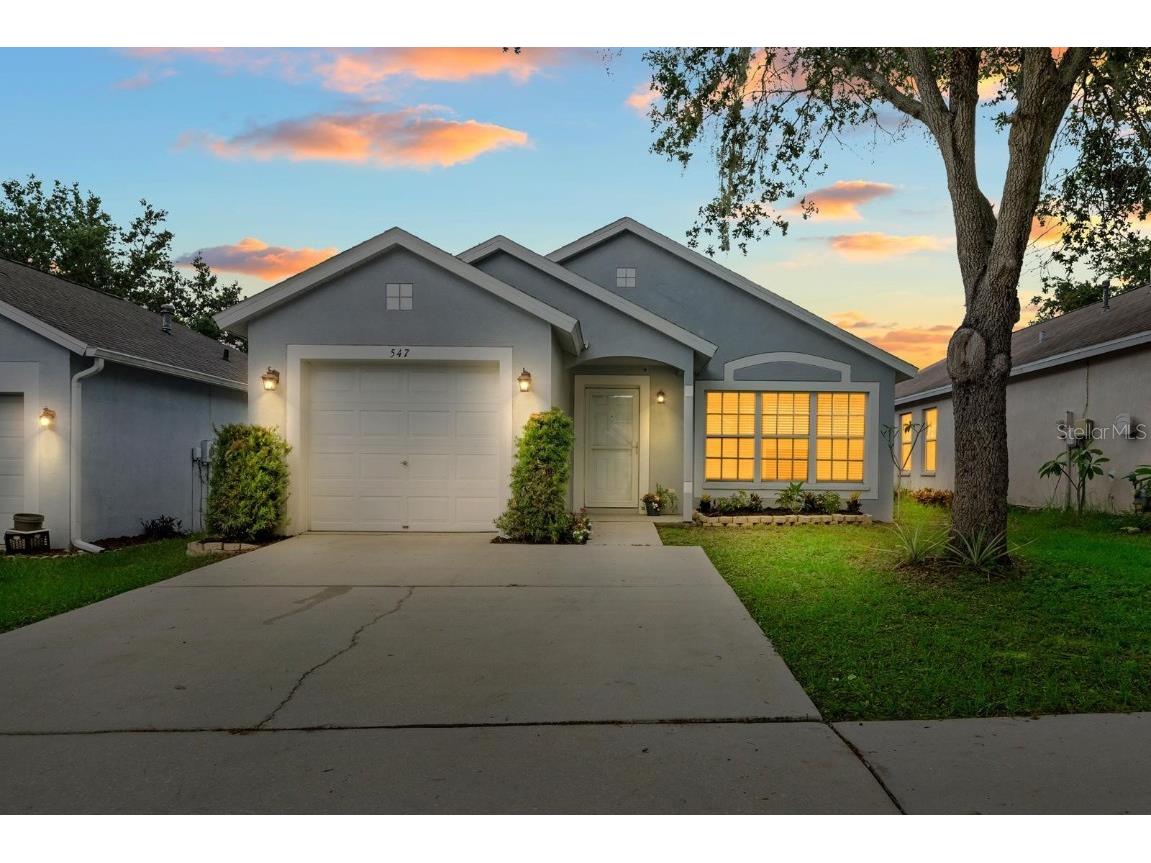 547 Summer Sails Drive Valrico FL 33594 TB8399919 image1