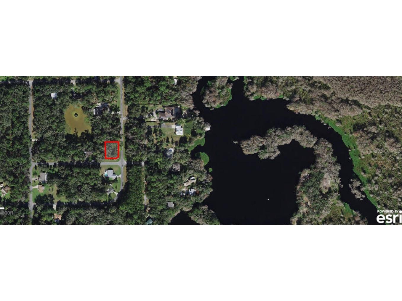 547 W Grapewood Lane Citrus Springs FL 34434 C7473049 image1