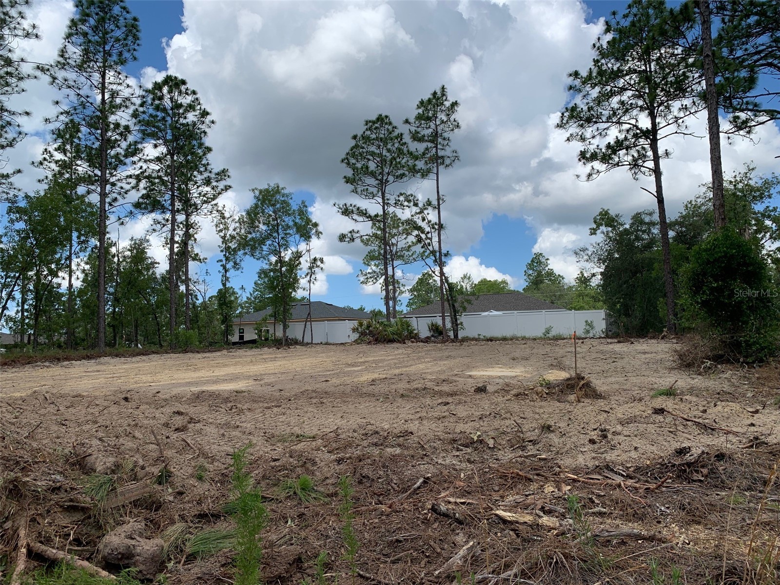 547 W Homeway Loop Dunnellon FL 34434 OM726616 image3