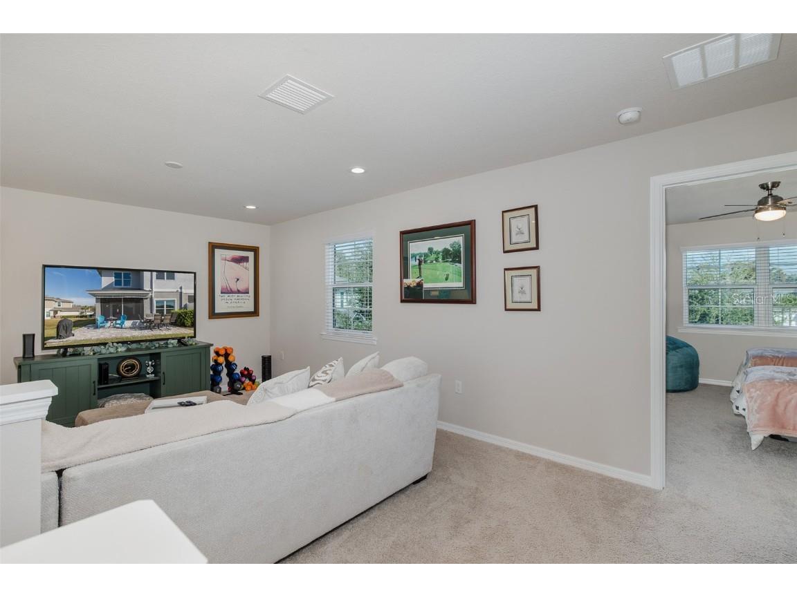 5470 Riverwalk Preserve Drive New Port Richey FL 34653 TB8452038 image32