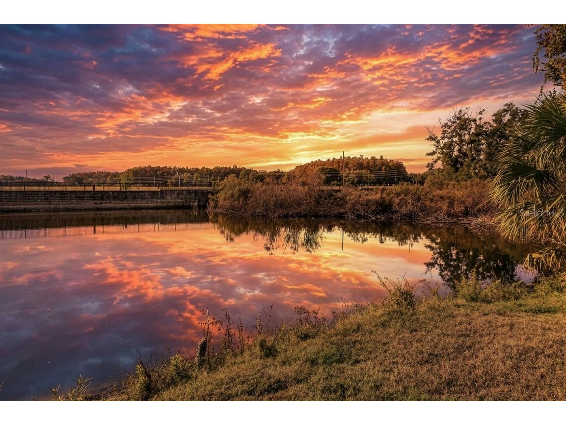 5470 Riverwalk Preserve Drive New Port Richey FL 34653 TB8452038 image55