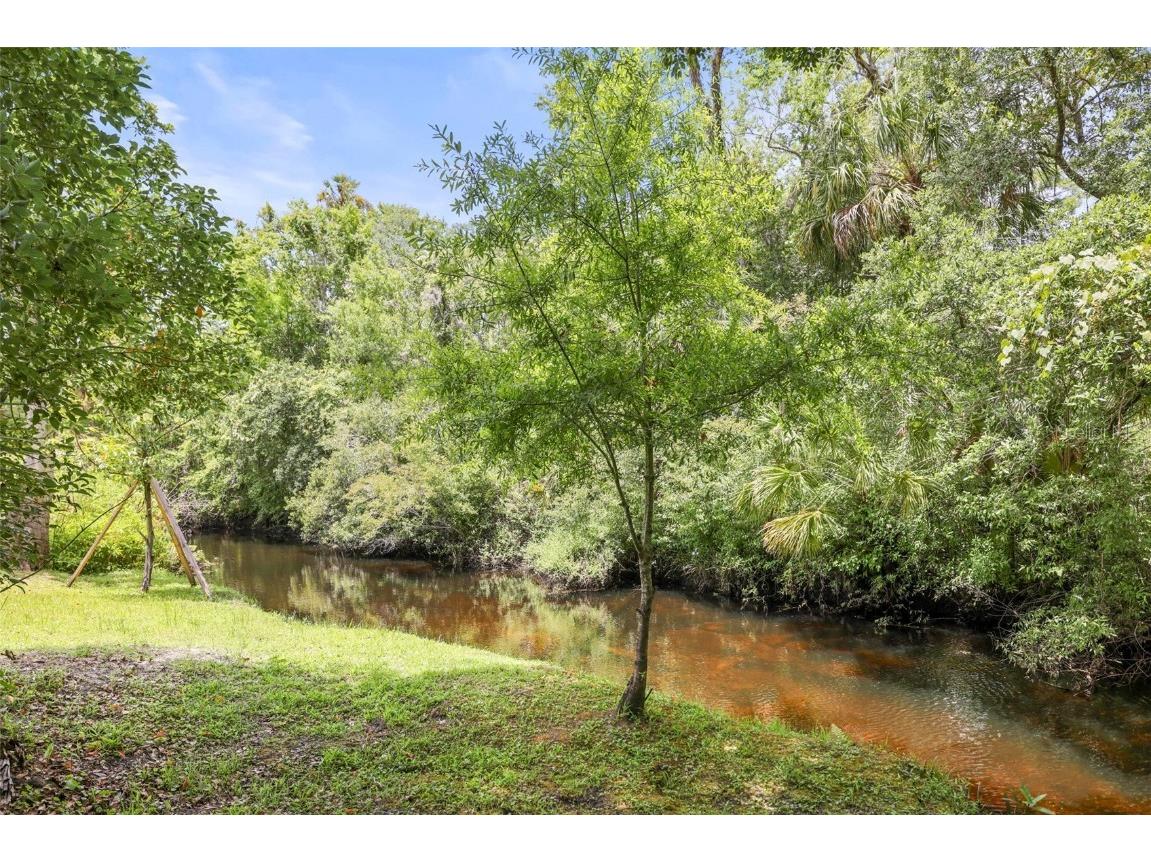 5470 Riverwalk Preserve Drive New Port Richey FL 34653 TB8452038 image72