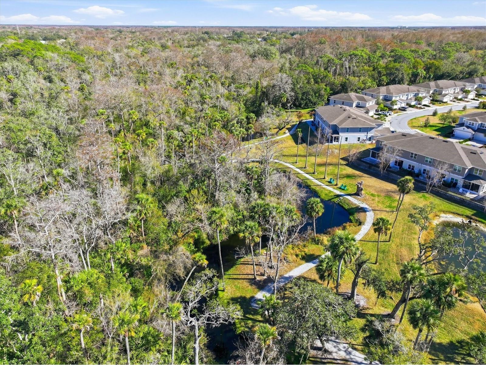 5470 Riverwalk Preserve Drive New Port Richey FL 34653 TB8472238 image59