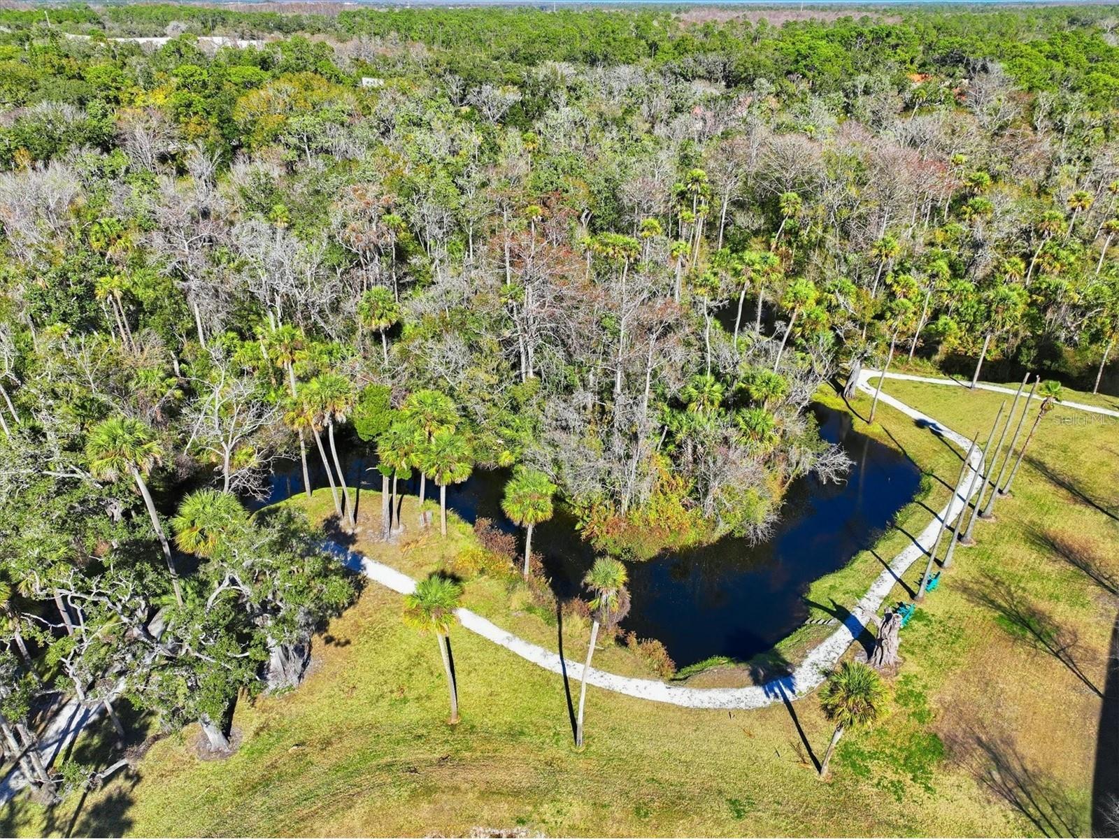 5470 Riverwalk Preserve Drive New Port Richey FL 34653 TB8472238 image61