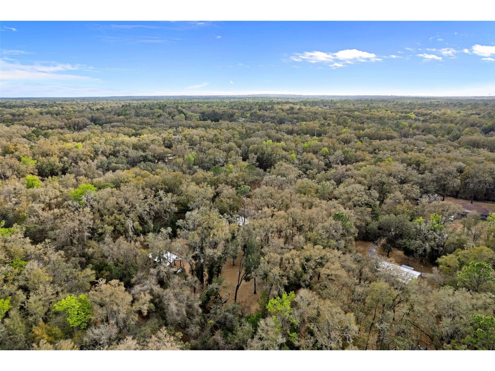 5471 N Highland Park Drive Hernando FL 34442 OM722275 image46