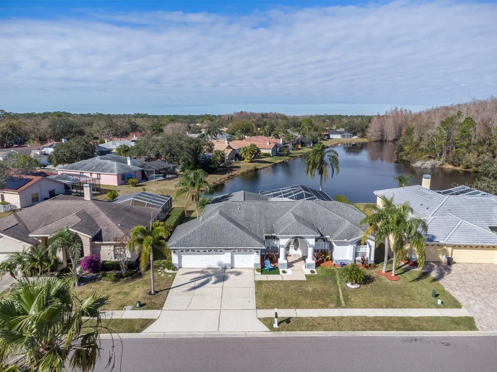 5471 Stallion Lake Drive Palm Harbor FL 34685 TB8338136 image1